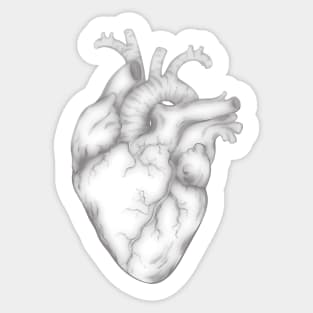 Heart Sticker